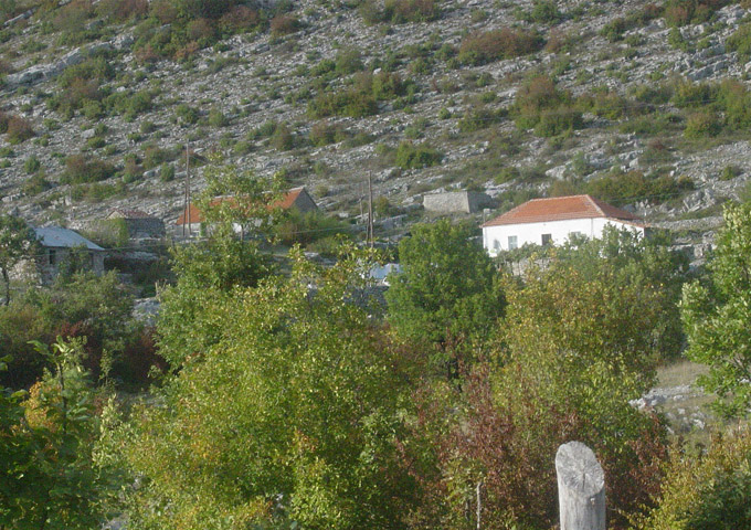 picture10