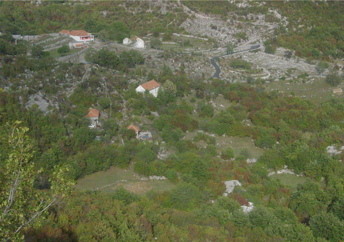 picture5