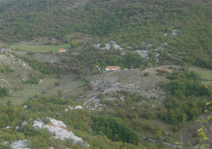 picture6