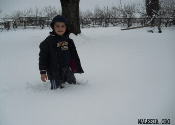 Foto-Video reportazh nga bora në Malësi