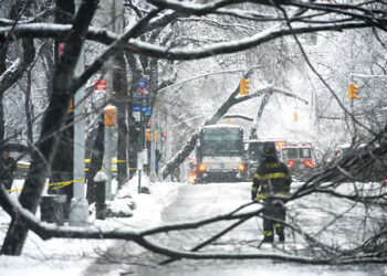 Nju Jork : Thyehet pema nga dëbora dhe lë të vdekur një shqiptarë