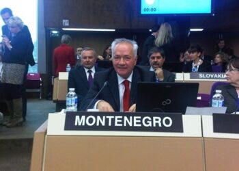 Dinosha distancohet nga Zenka