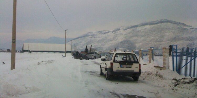 Foto të çastit (7 Shkurt 2012)