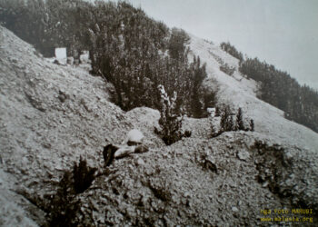 Kryengritja e Malësisë së Mbishkodrës 1911 – Kryengritësit, Memorandum drejtuar Fuqive të Mëdha (3)