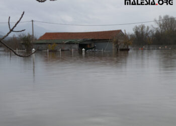 Përmbytjet në Nënhelm – Malësi, gjendje kritike (foto+video)
