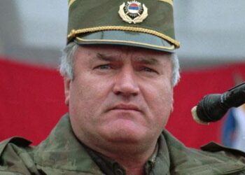 Tadic konfirmon arrestimin e Mladicit