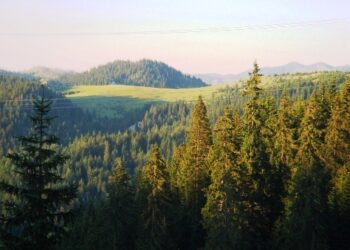 U promovua në Pejë libri “Shtigjet e përgjakura” e autorit Ali Daci – Kujtesë për kohën kur lugetërit nuk ngopeshin me gjak shqiptarë