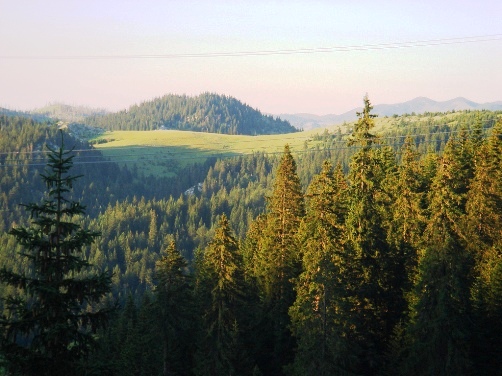 U promovua në Pejë libri “Shtigjet e përgjakura” e autorit Ali Daci – Kujtesë për kohën kur lugetërit nuk ngopeshin me gjak shqiptarë