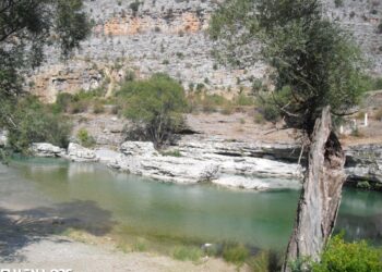 Shoqata “Adhuruesit e lumit Cem“ organizuan aksionet pastruese përgjatë lumit Cem