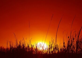 Vala e të nxehtit në Malësi