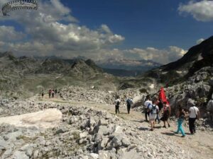 ojq-labeatet-06
