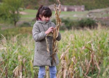 13 vjeçarja shqiptare që ruan dhitë mahnitë jurinë e “The Voice” (Video)