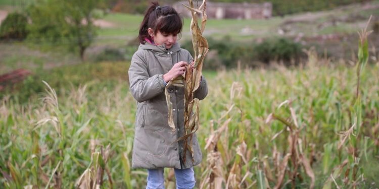 13 vjeçarja shqiptare që ruan dhitë mahnitë jurinë e “The Voice” (Video)