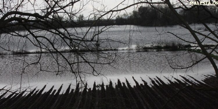 Të reshurat rrezikojnë sezonin bujqësorë në Malësi