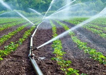 Sh.Camaj: Gjendja katastrofike e bujqve, nga Malësia dhe trevat tjera, vazhdon me vite