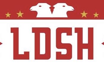 LDSH: Ska vend euforia kur zbatimi është në duartë e atyre që kundërshtuan komunën