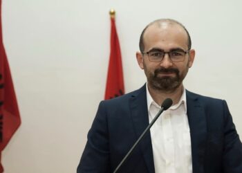 Albian Sinishtaj: Kërkesë për implementimin e normave Kushtetuese dhe Ligjore