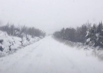 Gjeloshaj: Papërgjegjësi e organeve kopetente të Komunës së Tuzit, për nevojat e qytetarëve