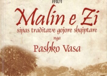 Draga:Vështrim për librin e Pashko Vasës