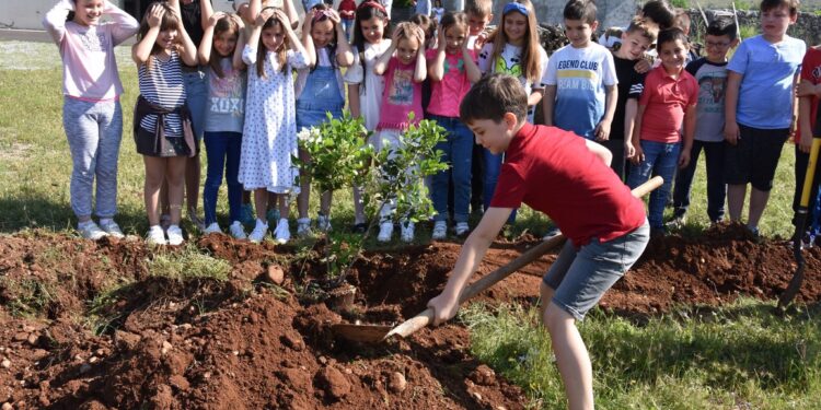 Komuna e Tuzit, organizoi aktivitete me rastin e Ditës Botërore të Mjedisit Jetësor