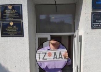 Tuzi fiton targat e regjistrimit TZ