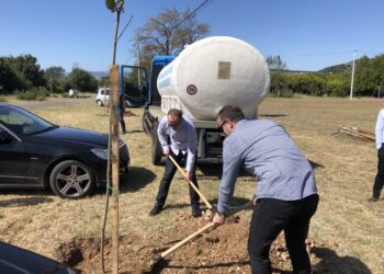 Komuna e Tuzit, bëri mbjellën e pemëve në Omerbozhaj, Tojeq dhe Milesh