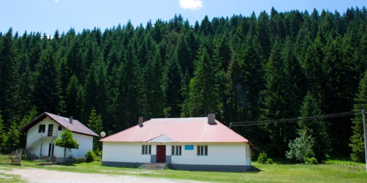 Kurtezi: Me një fotografi nga Shkolla Fillore në Dacaj, uroj të gjithë nxënësit dhe mësimdhënësit e shkollave shqip në MZ