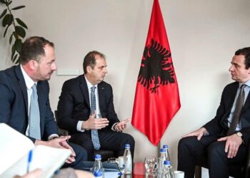 Nika dhe Nimanbegu, takohen me liderin e VV-së, Albin Kurti