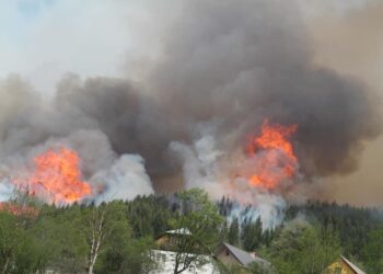 I vihet zjarri shkollës së vetme në gjuhë shqipe në Dacaj-Rozhajë