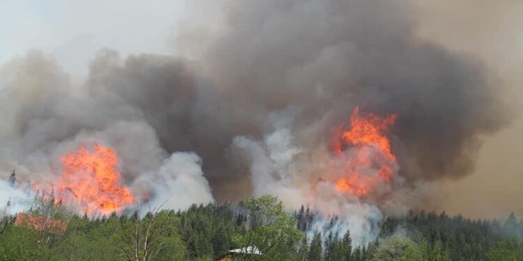 I vihet zjarri shkollës së vetme në gjuhë shqipe në Dacaj-Rozhajë