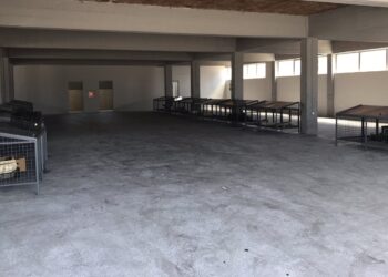 Hapet tregu i gjelbër në Tuz, tezgat ( banaqet), falas