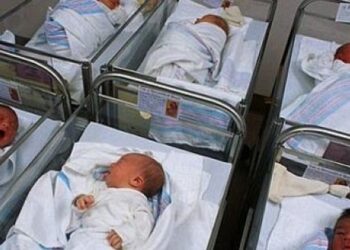 Shqipëri – Në vitin 1990 mbi 82 mijë lindje, por në vitin 2019 vetëm rreth 28 mijë lindje