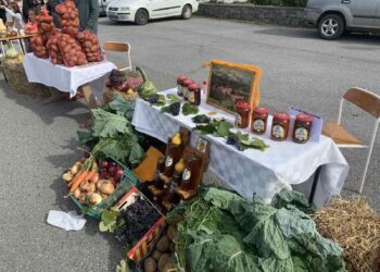 Në Triesh, mbahet Panairi i prodhimeve tradicionale