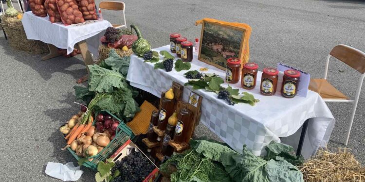 Në Triesh, mbahet Panairi i prodhimeve tradicionale