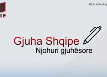 Shqipëria mbështet financiarisht kurset për mësimin e gjuhës shqipe për nxënësit në Tivar