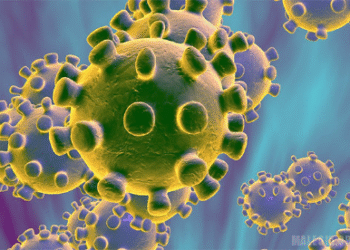 Lehtësohen masat në Mal të Zi, ndryshohet orari i lëvizjes së qytetarëve