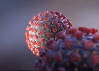 Në Malësi 123 raste aktive me COVID-19