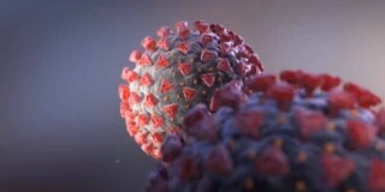 Në Malësi 123 raste aktive me COVID-19