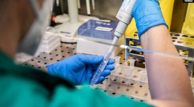 Mali i Zi njofton 7 raste me variantin britanik të COVID-19