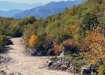 Trieshi akoma mbetet pa rrugë