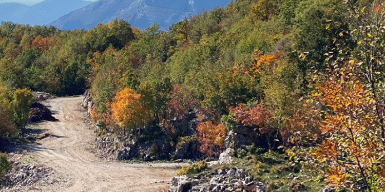 Trieshi akoma mbetet pa rrugë