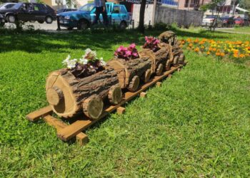 LDSH-ftesë për ruajtjen e Mjedisit