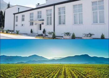 Plantacionet anuluan vendimin e Komunës së Tuzit për taksën e përcaktuar në pronë për vitin 2020