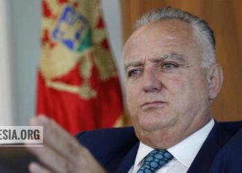 Mehmed Zenka: UDSH e gatshme që sot për koalicion me DPS-në dhe Forcën