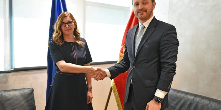 Ministri Dukaj takohet me shefen e Delegacionit të Bashkimit Evropian, ambasadoren Oana-Kristina Popa