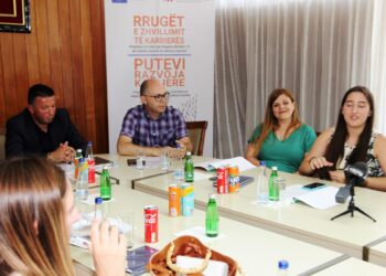 Plani lokal për punësueshmërinë e të rinjve të komunës së Ulqinit