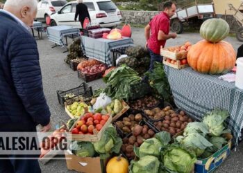 Në Triesh, mbahet Panairi i tretë i prodhimeve tradicionale