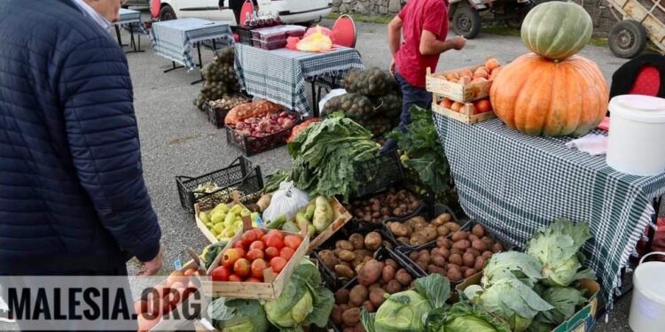 Në Triesh, mbahet Panairi i tretë i prodhimeve tradicionale