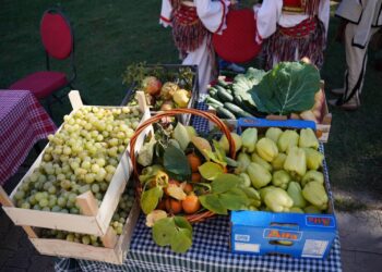 Në Tuz, hapet Panairi i II-të i Bujqësisë dhe Ushqimit të Shëndetshëm