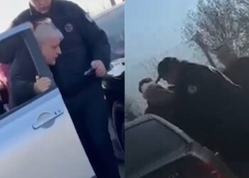 Policia malazeze dhunon shtetasit shqiptar!